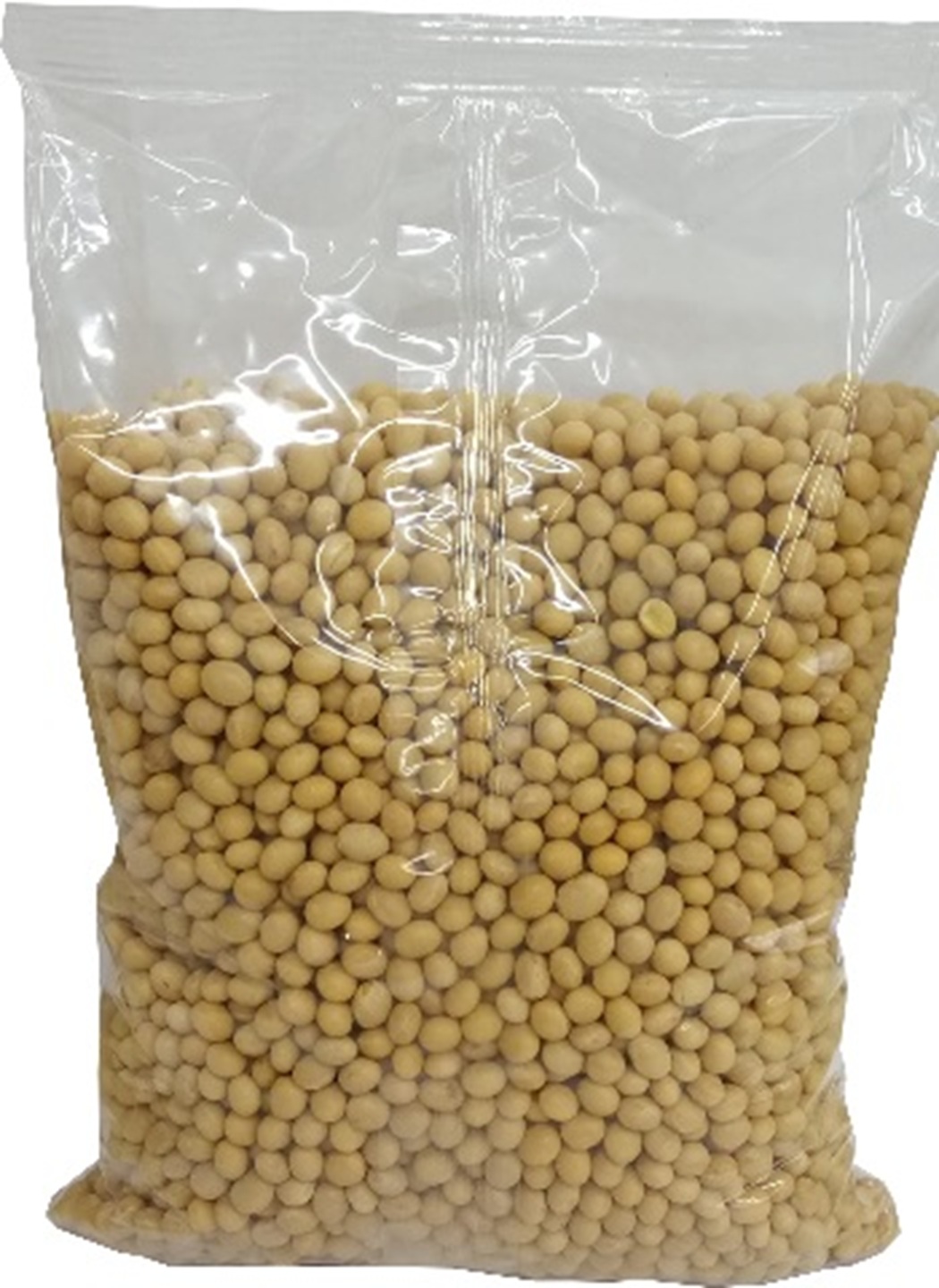 Kacang Kedelai Kacang Kedelai