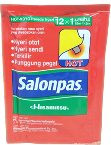 Salonpas Hot (12pcs)