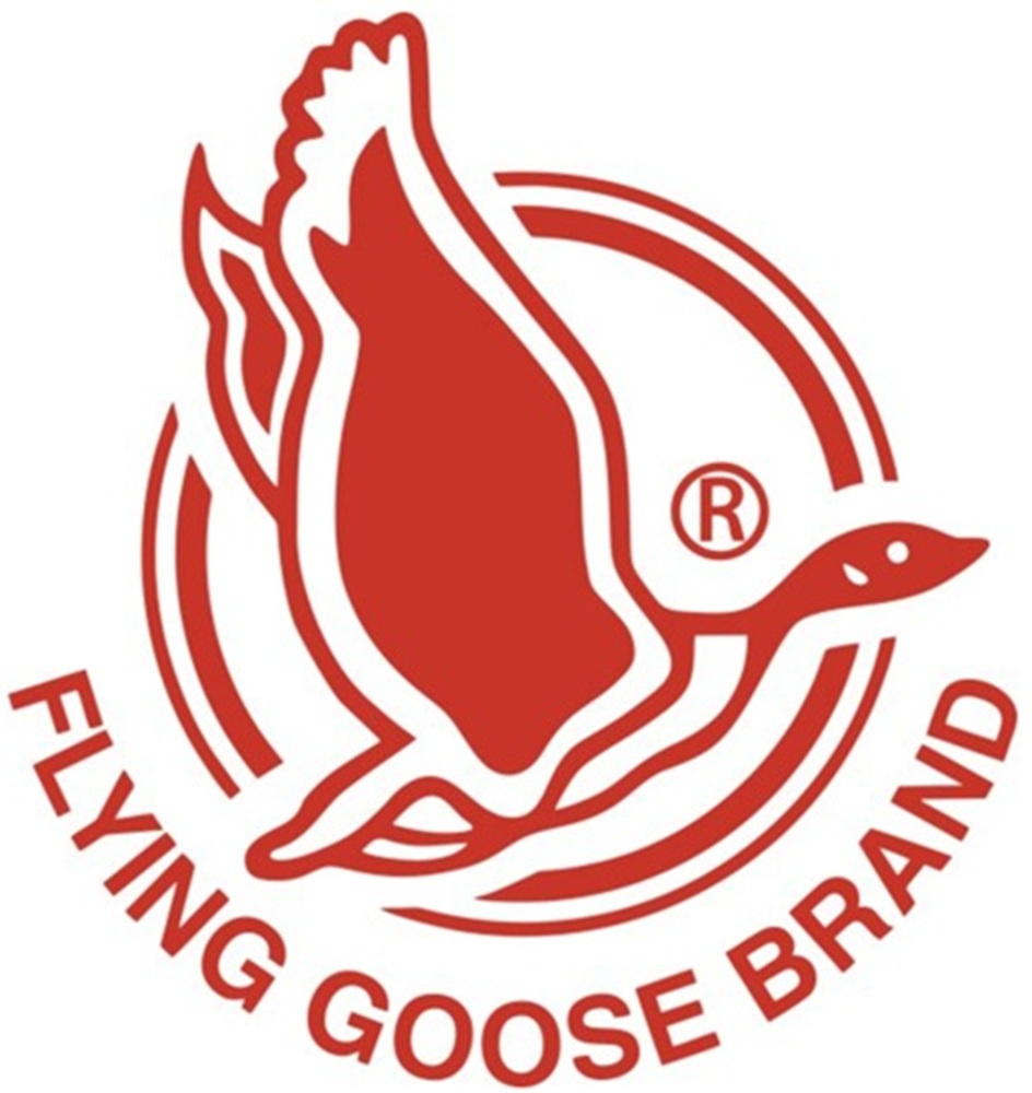 Flying Goose